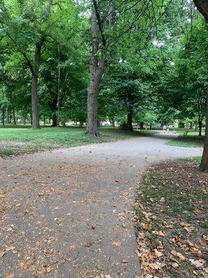 Pathway in the park