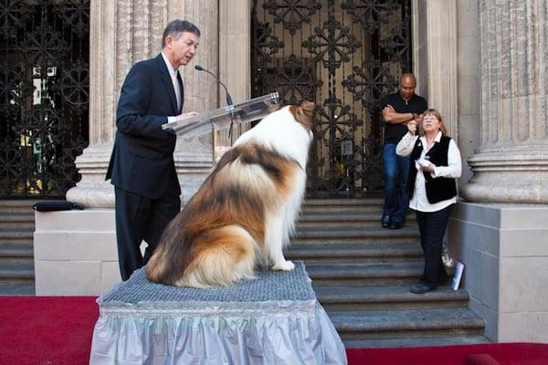 Lassie at personal appearance