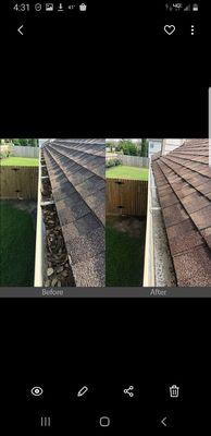 Gutter Cleaning before & after