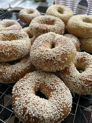 Sesame Seed Sourdough Bagel