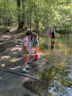 A great way to learn about aquatic animals is by catching them!