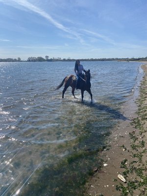 Horseback riding at the beach