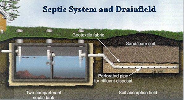 Panther Septic  Serving Northeast LA