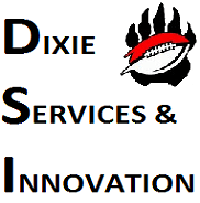 DSI Installations-DVOB