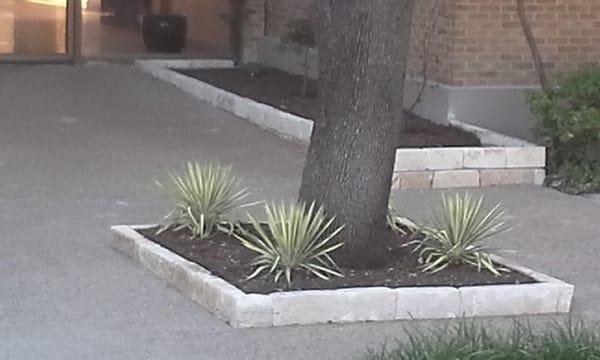 Same Rattlesnake with Color Guard Yucca Installed.