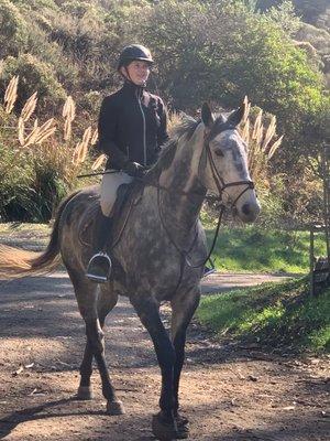 Student cooling school horse off after a lesson