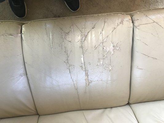 Couch - Ripped, and if you try to sit down you sink to the floor