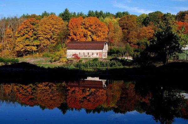 Tripple Brook Farm