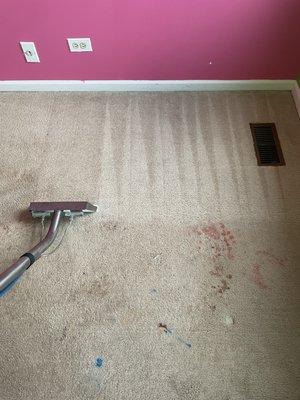 professional carpet cleaning and stain removal