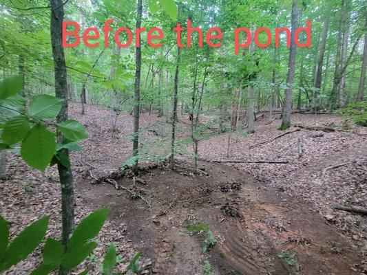 He turned a valley in the woods into a pond for the customers honey bees watering source