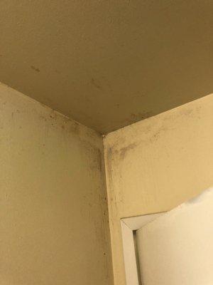 Poorly "cleaned" black mold throughout the bathroom.