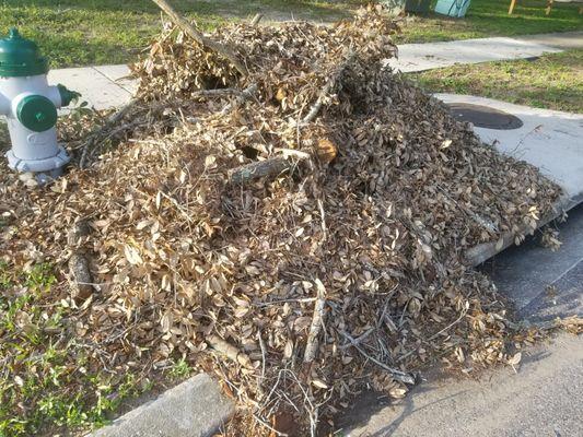 Debris left in my yard