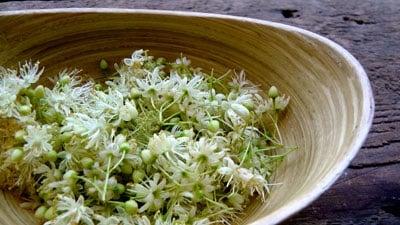 Linden flower extracting for calming and anti inflammatory benefits. A wonderful mask in the treatment room!