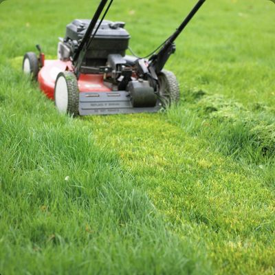 Cutting grass lol