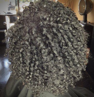 Finger Coils by Coco on Natural Hair. Shampoo and Steam Treatment Included.