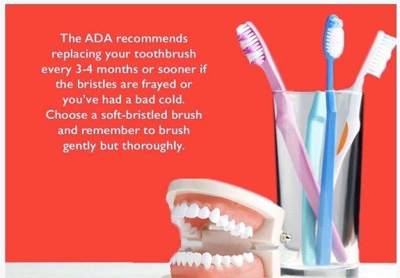 REPLACE YOUR toothbrush every 3 months!