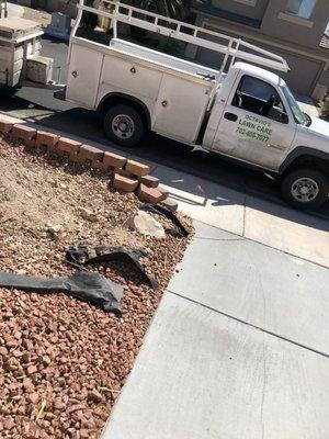 Octavio at your service.  Great worker and an understanding about trees and their root systems.