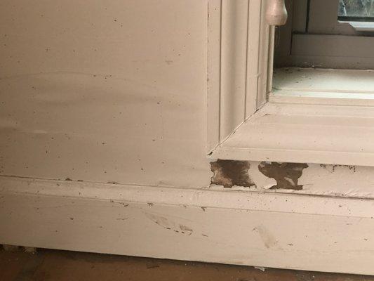 Photo of bubbling drywall and the paint falling off the wall in sunroom