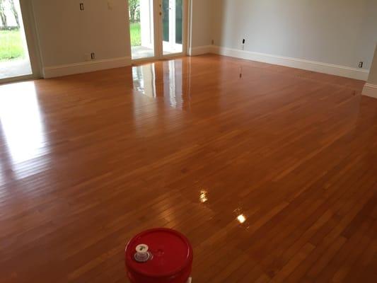 Refinish all types of wood floors