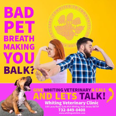 Come and see why all of your neighbors are putting their pets paws in our hands, call Whiting Veterinary Clinic and schedule a visit.