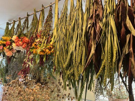 Dried arrangements in the works - green limelight and purple majesty millet to the right. They absolutely shine and can last through winter.