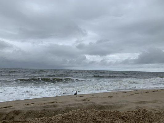 Ocean City Beach near 120th