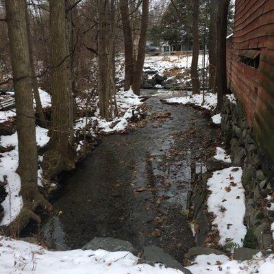 Running Stream behind the Farm Share Barn