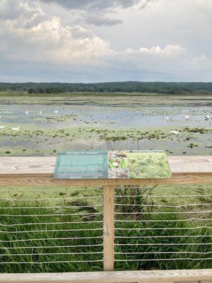 Arcadia Marsh Trail.