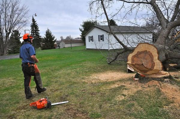 Lucky Lawn - Landscaping & Tree Service