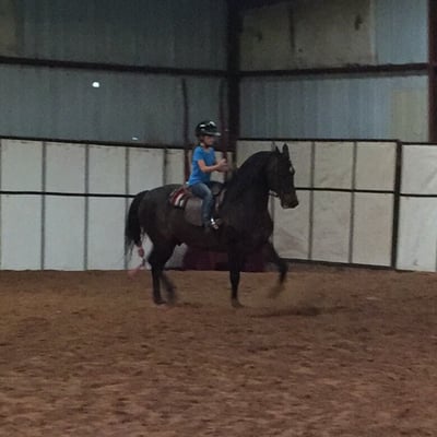 Young rider enjoying a maiden voyage on her aunt's horse who is currently in training to be sold!