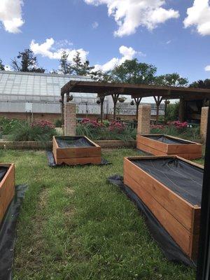 Greenhouse area