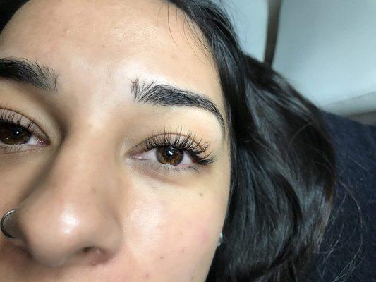 Hybrid lashes