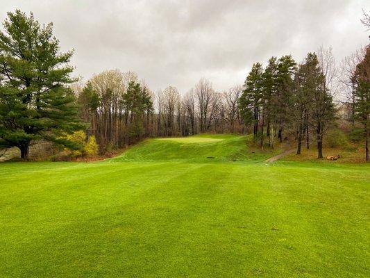 Conesus Golf Club