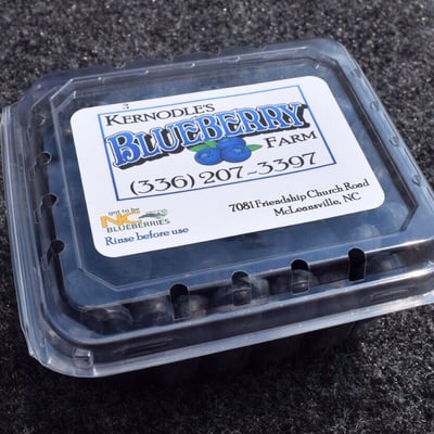 Fresh Picked Blueberries: Kernodle's Blueberry Farm