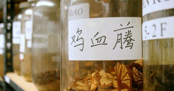 Fully stocked herb room with loose, granule, and patent herbs.