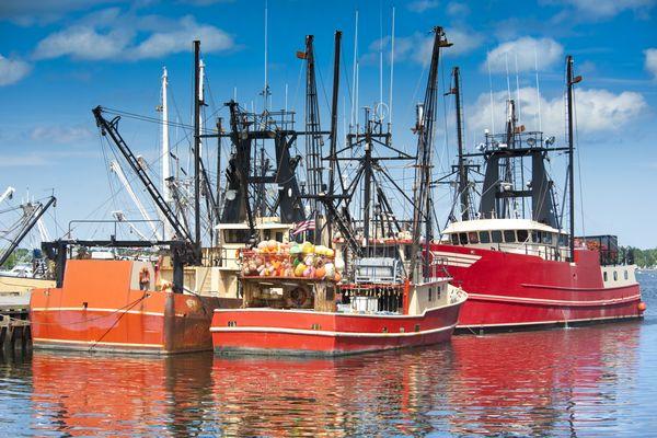 Fishing vessel, maritime