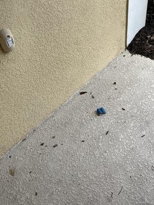 Trash and debris strewn about at front door