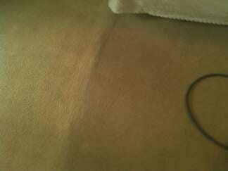 East Coast Carpet Cleaning