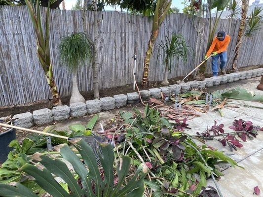 Clean up garden house planters