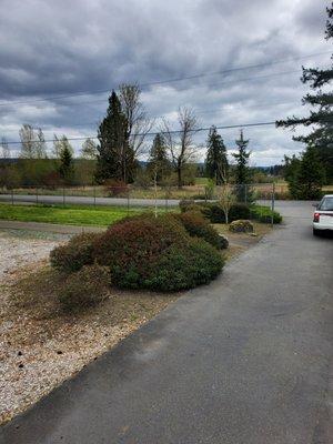 Shrubs trimming, Mow, Cleanup. The Wild Bunch Legacy hiding on the right.