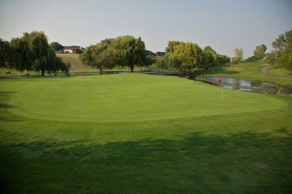 Hole #12 is touted as one of the largest greens in the Pacific Northwest.  A 12,000 square foot thing of beauty!