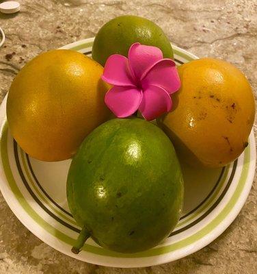 Fresh Mangos