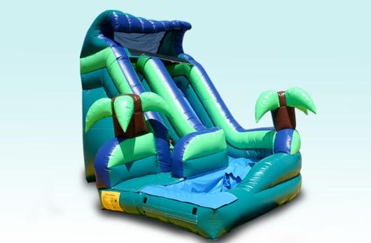 Tropical Curved Water Slide $225