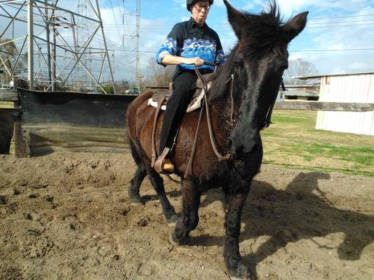 Aboard Conan, a gentle giant, in the small arena.