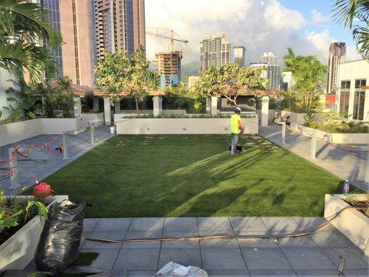 Artificial Grass AirDrain Dog Run at The Collections in Honolulu, Hawai'i 96813 with Southwest Greens