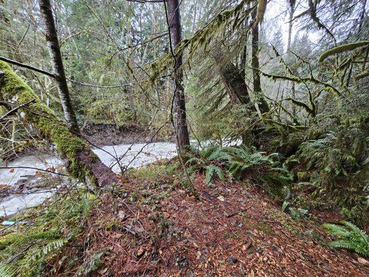 Creek view short walk from cabin