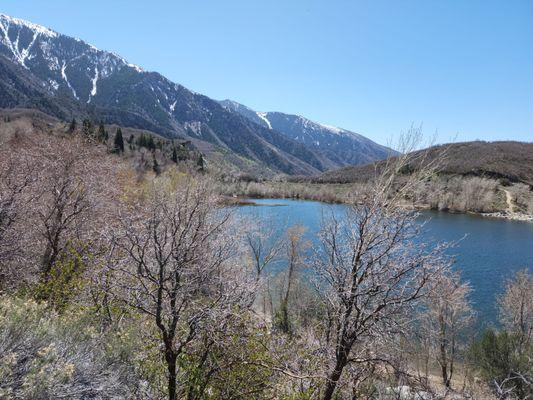 Lower Bell Canyon reservoir