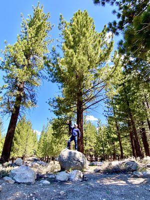 Mammoth Lakes Welcome Center