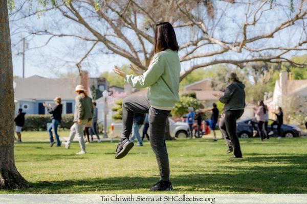 Tai Chi for Wellness