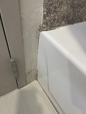 Mildew in bathroom